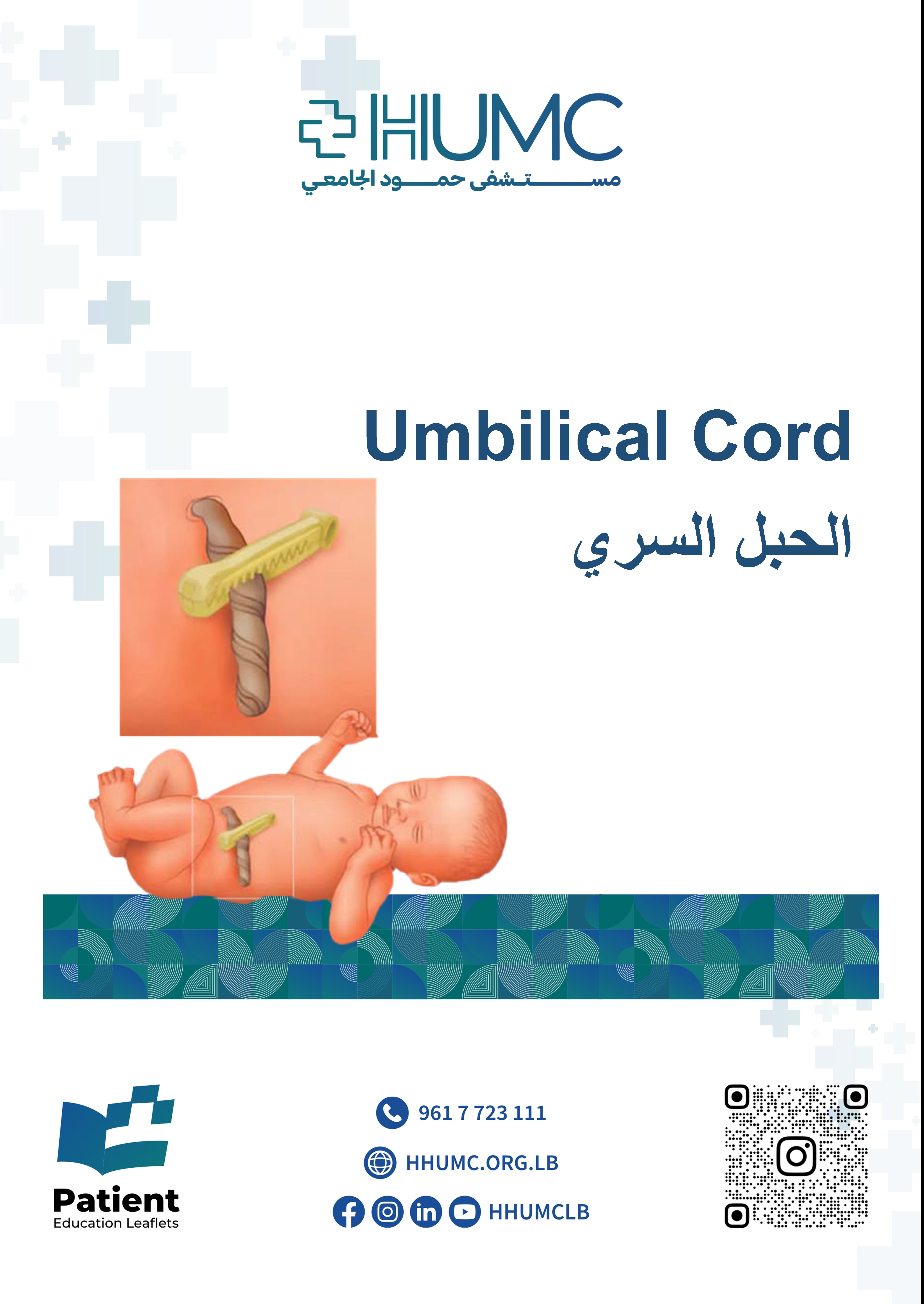Umbilical Cord